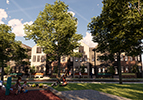 Bois-Franc Sotramont – Square Norseman Maisons de ville neuves à vendre image 2